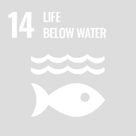 UN Goal 14 - Life below water
