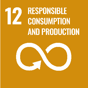 UN Goal - Responsible consumption and production